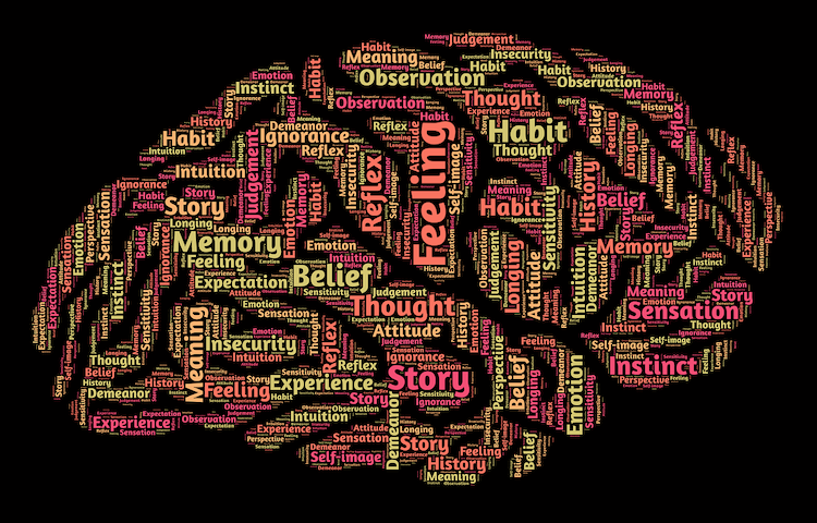 Psychology Degree