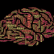 Psychology Degree