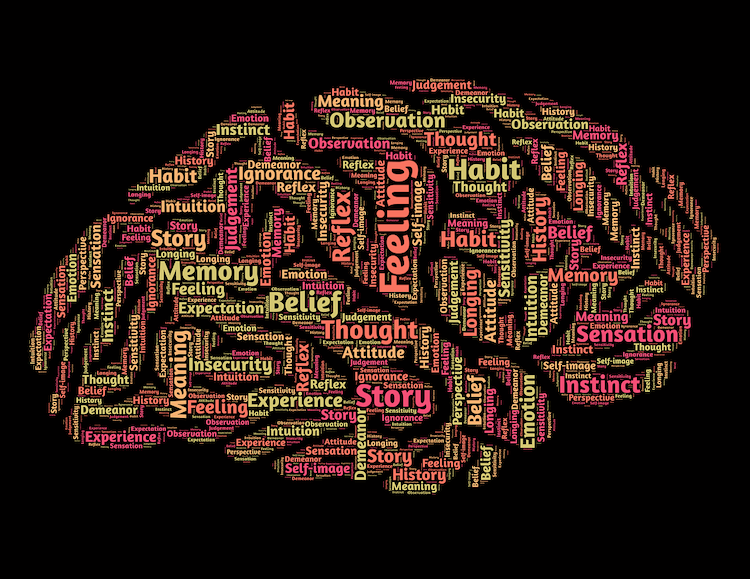 Psychology Degree