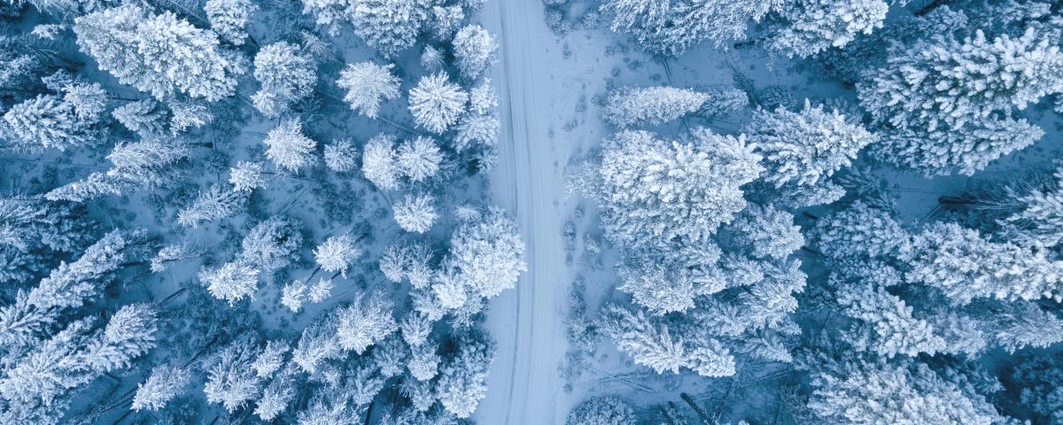 Winter Break Test Prep