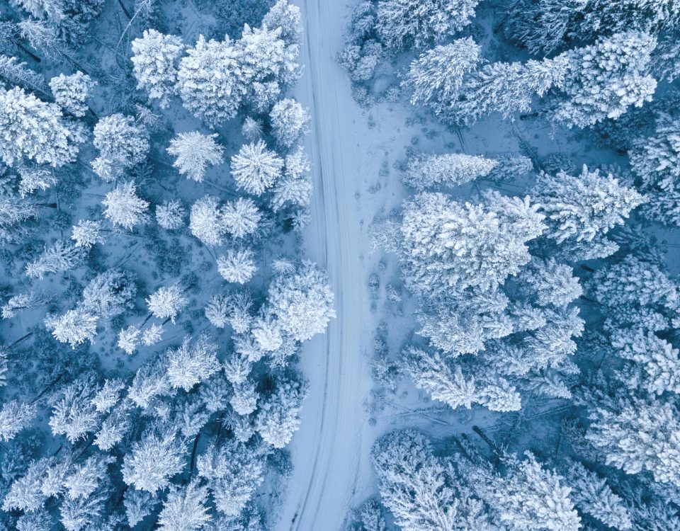 Winter Break Test Prep